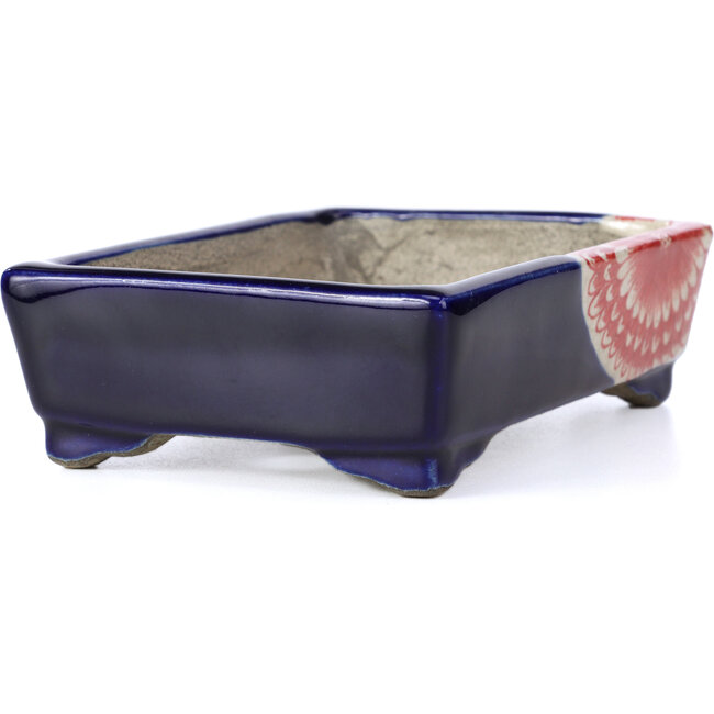 Pot à bonsaï rectangulaire bleu par Terahata Satomi Mazan - 148 x 105 x 43 mm