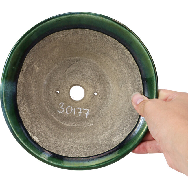 Maceta de bonsái verde redonda de Terahata Satomi Mazan - 200 x 200 x 75 mm