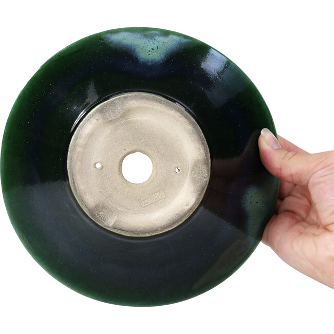 Maceta de bonsái verde redonda de Terahata Satomi Mazan - 200 x 200 x 75 mm