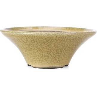  Satomi Mazan, Mazan Terahata Vaso per bonsai rotondo beige craquelé da 185 mm di Terahata Satomi Mazan, Tokoname, Giappone