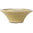 Round beige craquelé bonsai pot by Terahata Satomi Mazan - 185 x 185 x 70 mm