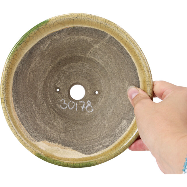Maceta de bonsái redonda beige craquelé de Terahata Satomi Mazan - 185 x 185 x 70 mm