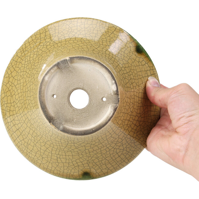 Maceta de bonsái redonda beige craquelé de Terahata Satomi Mazan - 185 x 185 x 70 mm
