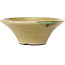 Round beige craquelé bonsai pot by Terahata Satomi Mazan - 185 x 185 x 70 mm