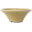 Round beige craquelé bonsai pot by Terahata Satomi Mazan - 185 x 185 x 70 mm