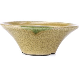  Satomi Mazan, Mazan Terahata Vaso per bonsai rotondo beige craquelé da 185 mm di Terahata Satomi Mazan, Tokoname, Giappone