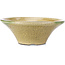 Round beige craquelé bonsai pot by Terahata Satomi Mazan - 185 x 185 x 70 mm