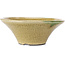 Round beige craquelé bonsai pot by Terahata Satomi Mazan - 185 x 185 x 70 mm