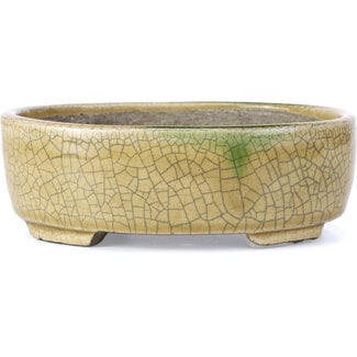  Satomi Mazan, Mazan Terahata 160 mm oval beige bonsai pot by Terahata Satomi Mazan, Tokoname, Japan