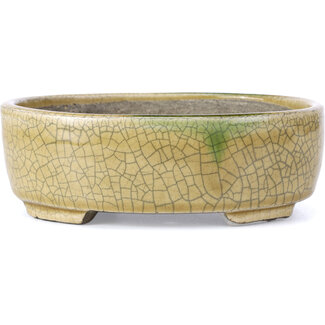 Satomi Mazan, Mazan Terahata 160 mm oval beige bonsai pot by Terahata Satomi Mazan, Tokoname, Japan