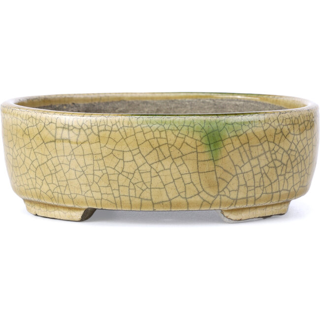 Oval beige bonsai pot by Terahata Satomi Mazan - 160 x 130 x 52 mm