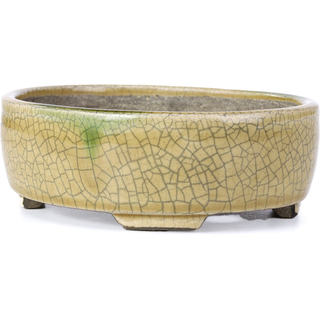 Vaso per bonsai ovale beige di Terahata Satomi Mazan - 160 x 130 x 52 mm