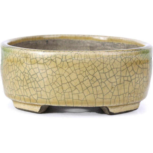 Maceta de bonsái beige ovalada de Terahata Satomi Mazan - 160 x 130 x 52 mm