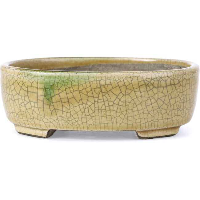 Pot à bonsaï ovale beige par Terahata Satomi Mazan - 160 x 130 x 52 mm