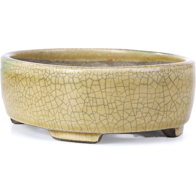 Pot à bonsaï ovale beige par Terahata Satomi Mazan - 160 x 130 x 52 mm