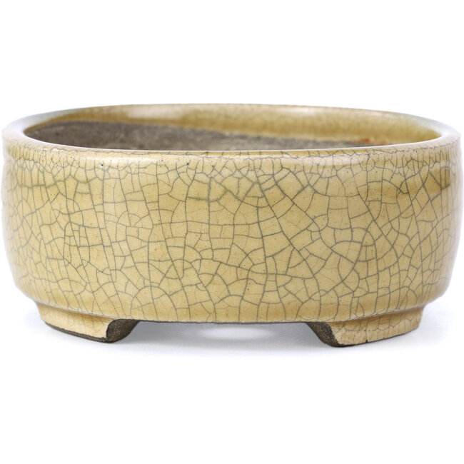 Pot à bonsaï ovale beige par Terahata Satomi Mazan - 160 x 130 x 52 mm