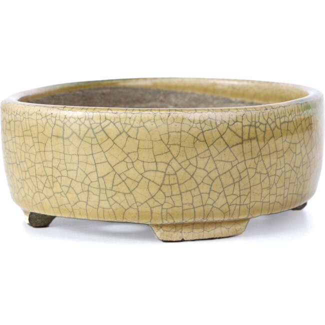 Pot à bonsaï ovale beige par Terahata Satomi Mazan - 160 x 130 x 52 mm