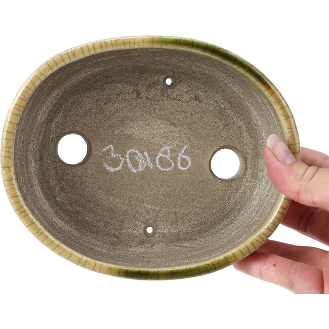 Maceta de bonsái beige ovalada de Terahata Satomi Mazan - 160 x 130 x 52 mm