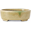 Oval beige bonsai pot by Terahata Satomi Mazan - 162 x 132 x 53 mm