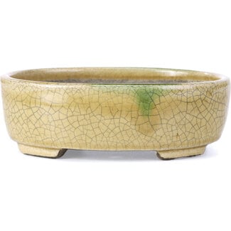  Satomi Mazan, Mazan Terahata 161 mm oval beige bonsai pot by Terahata Satomi Mazan, Tokoname, Japan