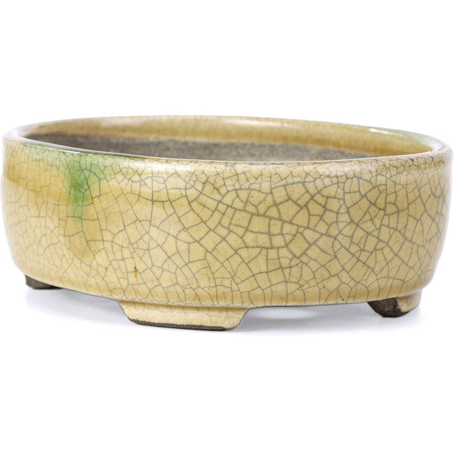 Vaso per bonsai ovale beige di Terahata Satomi Mazan - 161 x 129 x 51 mm