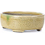 Pot à bonsaï ovale beige par Terahata Satomi Mazan - 161 x 129 x 51 mm
