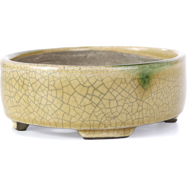 Maceta de bonsái beige ovalada de Terahata Satomi Mazan - 161 x 129 x 51 mm