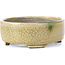 Pot à bonsaï ovale beige par Terahata Satomi Mazan - 161 x 129 x 51 mm