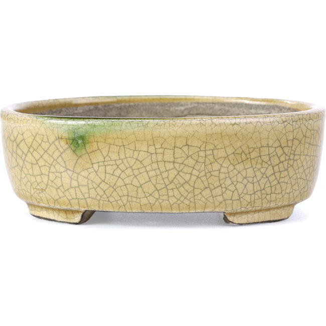 Vaso per bonsai ovale beige di Terahata Satomi Mazan - 161 x 129 x 51 mm