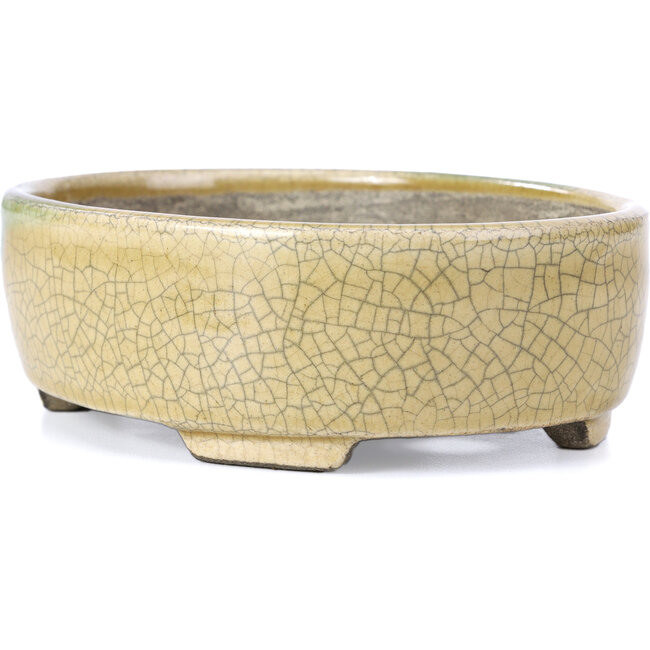 Pot à bonsaï ovale beige par Terahata Satomi Mazan - 161 x 129 x 51 mm