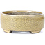 Oval beige bonsai pot by Terahata Satomi Mazan - 161 x 129 x 51 mm