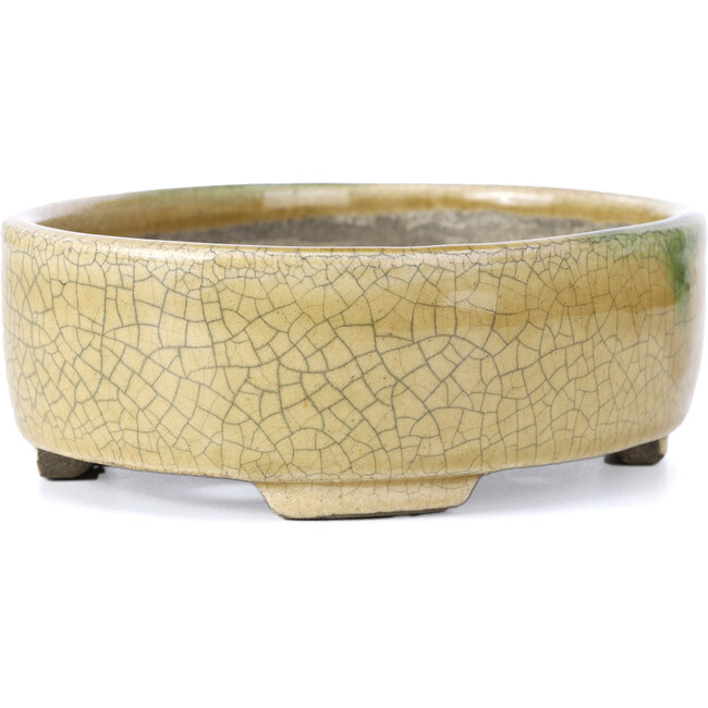 Ovale beige Bonsaischale von Terahata Satomi Mazan - 161 x 129 x 51 mm