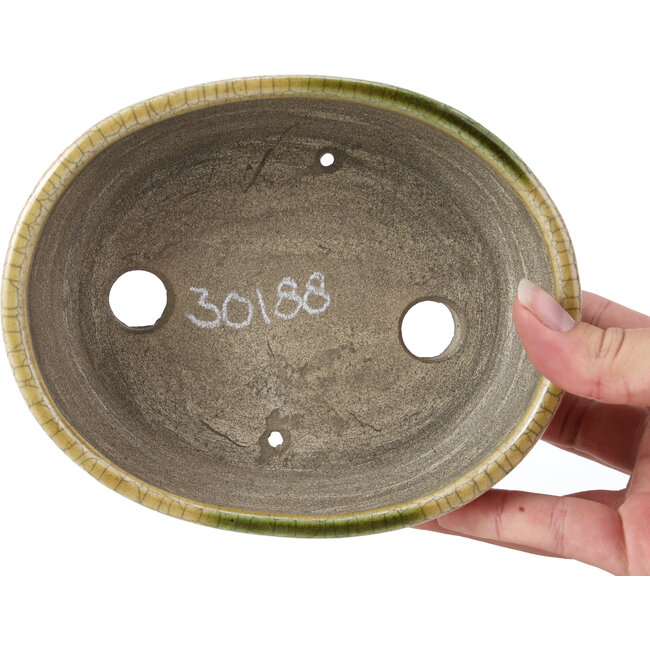 Pot à bonsaï ovale beige par Terahata Satomi Mazan - 161 x 129 x 51 mm