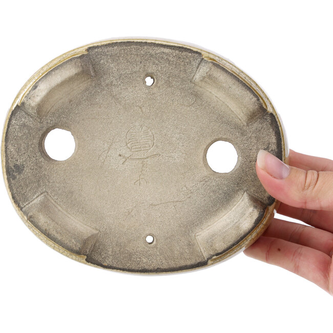 Pot à bonsaï ovale beige par Terahata Satomi Mazan - 161 x 129 x 51 mm