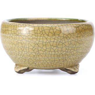  Satomi Mazan, Mazan Terahata Vaso per bonsai rotondo beige da 123 mm di Terahata Satomi Mazan, Tokoname, Giappone