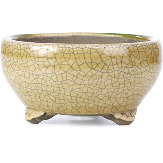  Satomi Mazan, Mazan Terahata Vaso per bonsai rotondo beige da 124 mm di Terahata Satomi Mazan, Tokoname, Giappone