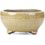 Round beige bonsai pot by Terahata Satomi Mazan - 124 x 124 x 65 mm