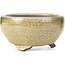 Round beige bonsai pot by Terahata Satomi Mazan - 124 x 124 x 65 mm