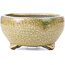 Round beige bonsai pot by Terahata Satomi Mazan - 124 x 124 x 65 mm