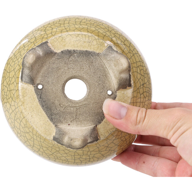 Maceta de bonsái redonda beige de Terahata Satomi Mazan - 124 x 124 x 65 mm