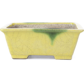  Satomi Mazan, Mazan Terahata 155 mm rectangular yellow bonsai pot by Terahata Satomi Mazan, Tokoname, Japan