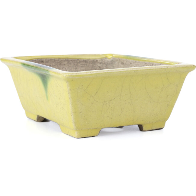 Maceta de bonsái amarilla rectangular de Terahata Satomi Mazan - 155 x 131 x 61 mm