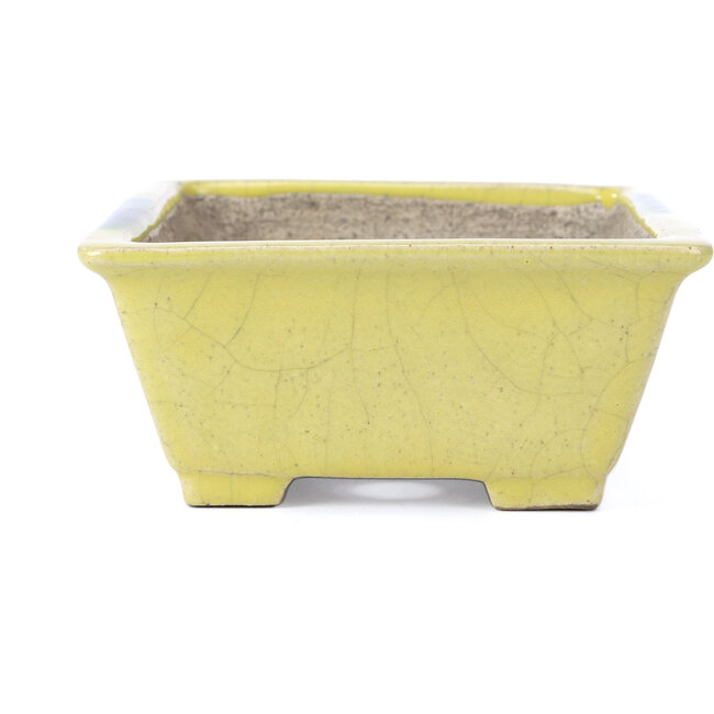 Rectangular yellow bonsai pot by Terahata Satomi Mazan - 155 x 131 x 61 mm
