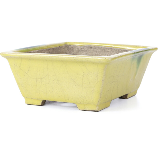 Rectangular yellow bonsai pot by Terahata Satomi Mazan - 155 x 131 x 61 mm