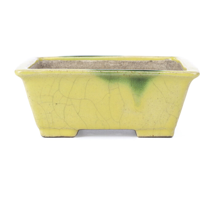 Rechteckige gelbe Bonsaischale von Terahata Satomi Mazan - 155 x 131 x 61 mm