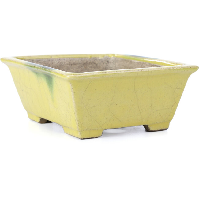 Vaso per bonsai rettangolare giallo di Terahata Satomi Mazan - 155 x 131 x 61 mm
