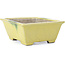 Rectangular yellow bonsai pot by Terahata Satomi Mazan - 155 x 131 x 61 mm