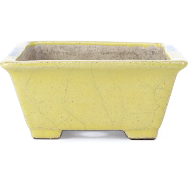 Pot à bonsaï rectangulaire jaune par Terahata Satomi Mazan - 155 x 131 x 61 mm