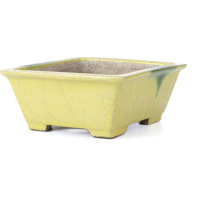 Maceta de bonsái amarilla rectangular de Terahata Satomi Mazan - 155 x 131 x 61 mm