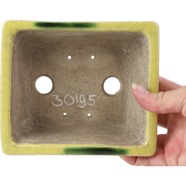 Pot à bonsaï rectangulaire jaune par Terahata Satomi Mazan - 155 x 131 x 61 mm